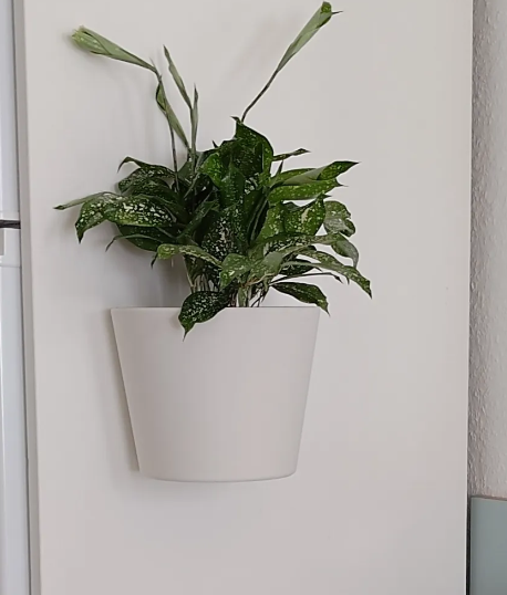 Mounted Wall Planter — 3D printed by Moon Studio 3D